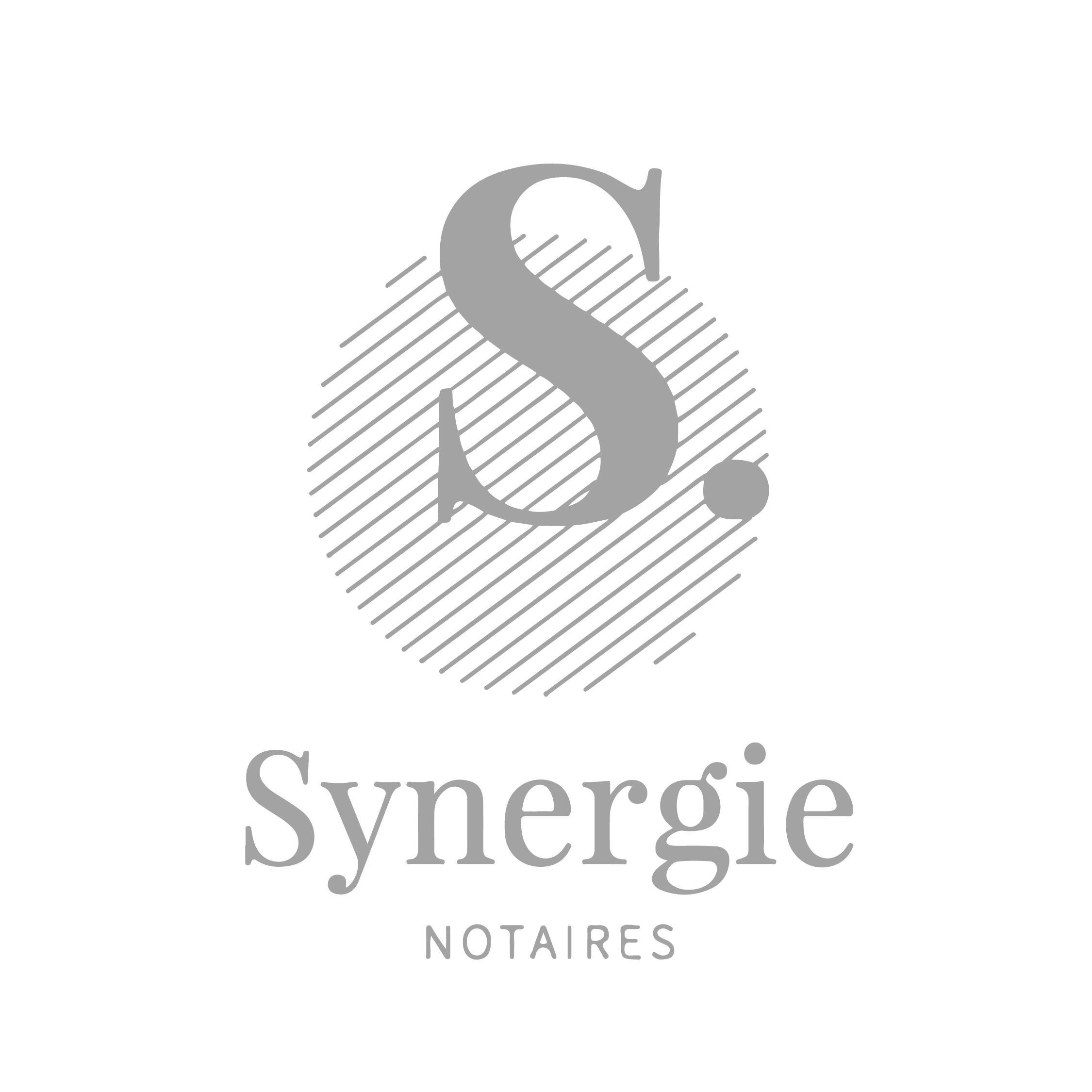 Logo Synergie - Break-Out Company